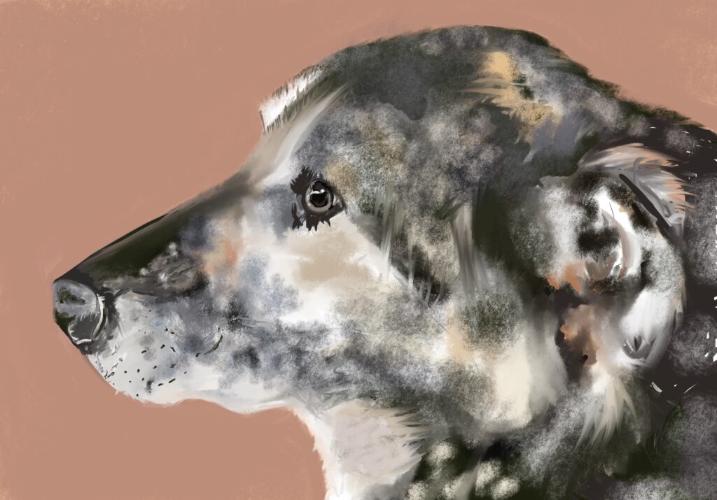 Billy rescued dog drawing by LC