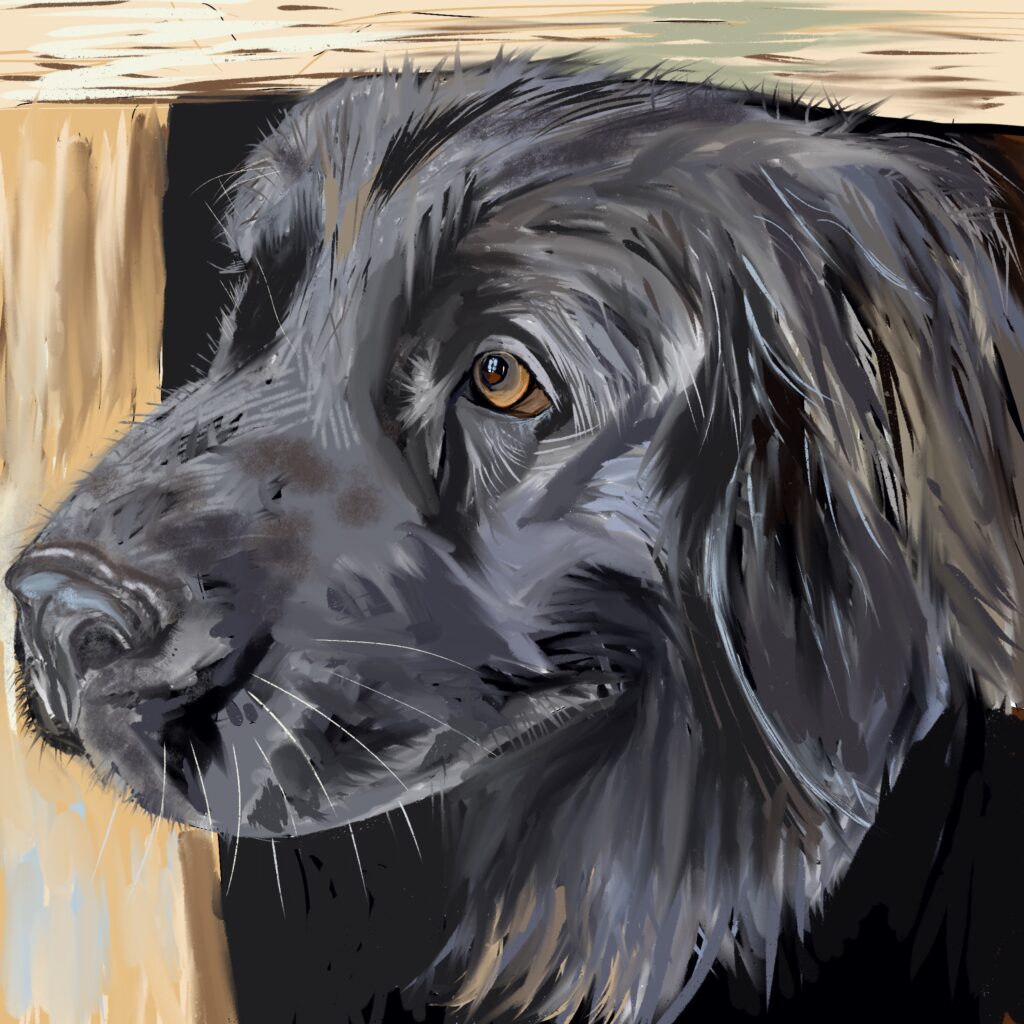 Buddy by the artist LC