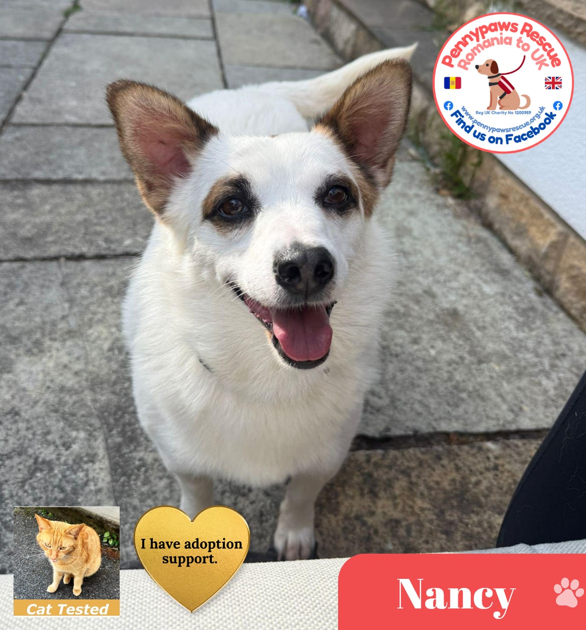 Nancy pic