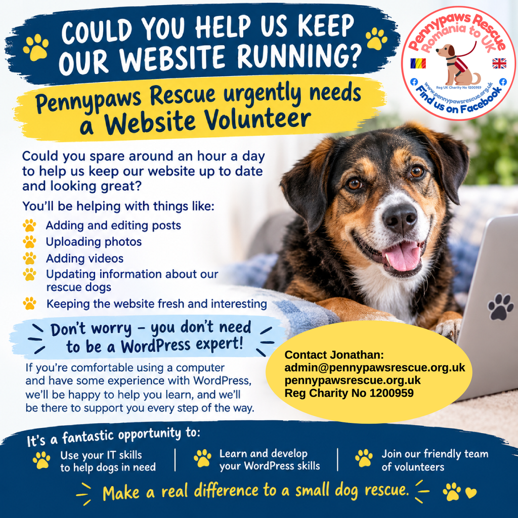 Job advert for Pennypaws